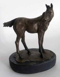 Small Colt 28/50 by Margaret Drake