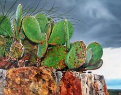 LBJ Cactus by Ric Dentinger