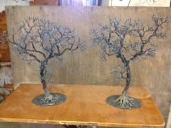 Jack's Two Trees by Jack Wolfsen