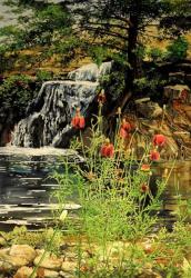 Carey Falls by Bob Cook