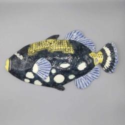 Trigger Fish by Cathy Crain