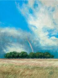Rainbow Illusion by Rebecca Zook