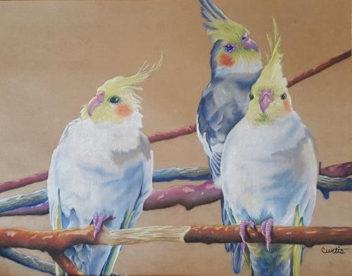 Cockatiel Hour by Catherine Curtis