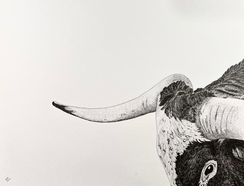 Pen and Ink Longhorn #8 by Dan Abernathy