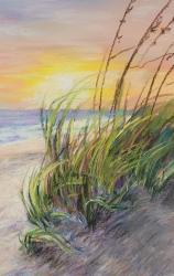Sea Oats At Sunset by Ginny Knight