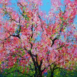 Cherry Blossom 2 by Roberto Ugalde