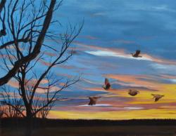 Gliding Into Roost by Van Johnson