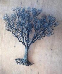 Elm Tree by Jack Wolfsen