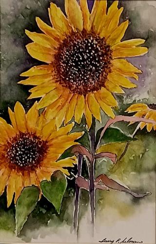 Sunflower Series II by Barry Selman