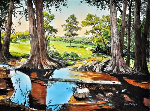 Cibolo Creek by Bob Cook