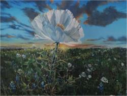 Prickly Poppy by Jo%20LeMay%20Rutledge