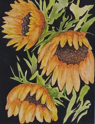 Three Sunflowers by Barry L. Selman