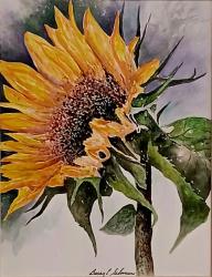 Sunflower Series I by Barry%20L.%20Selman