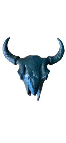 Buffalo Skull by Covelle